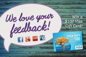 Win a $100 Visa Gift Card!
